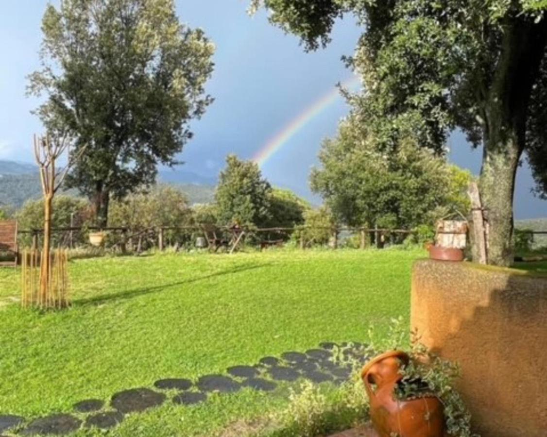 Aurora 2-Bed Cottage - Sleeps 4 - Montseny Park Arbúcies Eksteriør bilde